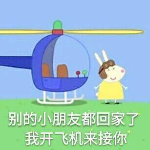 小猪佩奇可爱表情包动图,小猪佩奇的那些鄙视表情包