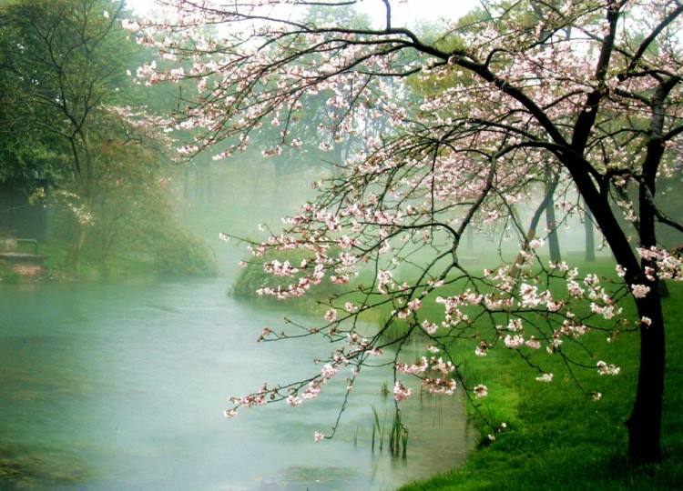 我给了你四季的风景,你还在意春花秋月吗?