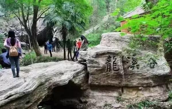 居游大事|金秋套票正式发售啦!这次两个套票任你选!