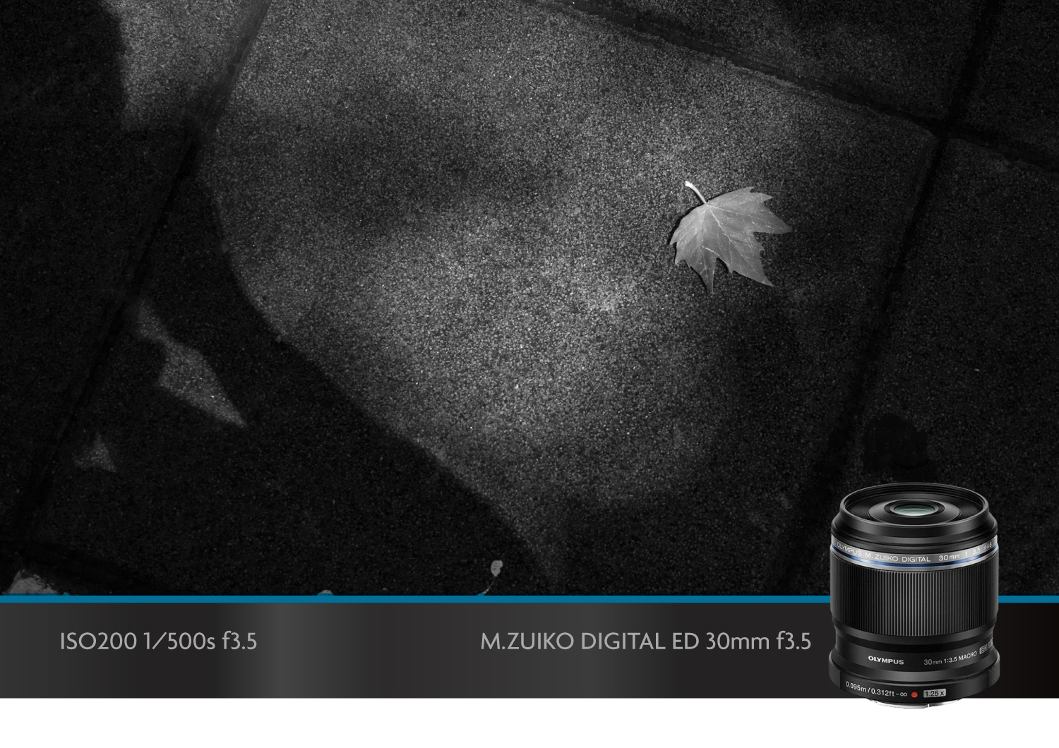 奥林巴斯微距镜头,奥林巴斯40-150可以拍微距吗