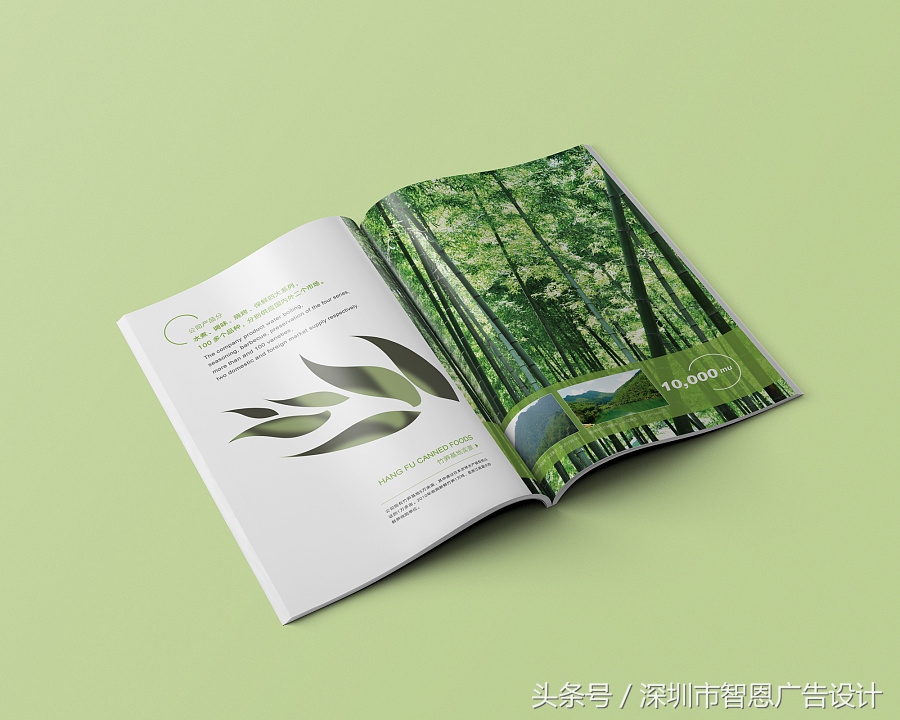 干货画册设计的基本常识,画册设计基本常识了解一下