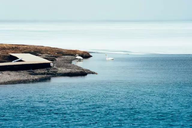 回顾:旧梦之域,新辟之疆‖这是一个让我魂萦梦绕的地方