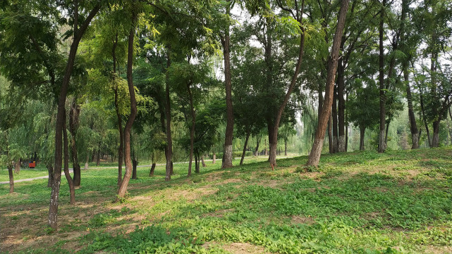 18:9比例的直屏手机,18.9全面屏手机推荐