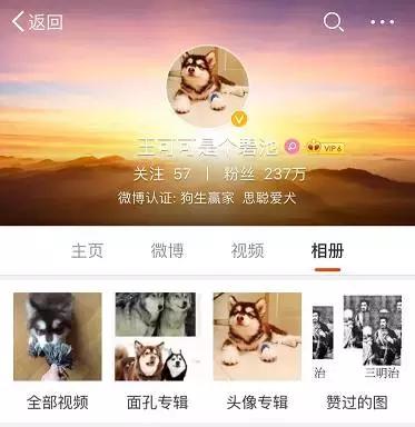 这些宠物都在背LV，你还敢抱怨自己像狗一样累？