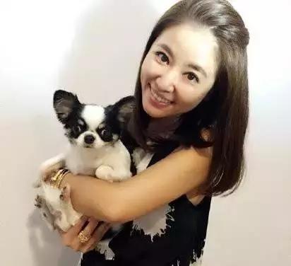 这些宠物都在背LV，你还敢抱怨自己像狗一样累？