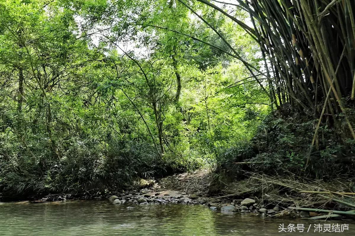 如果你只有一天的时间去乐山,如果你只有两天时间游南京