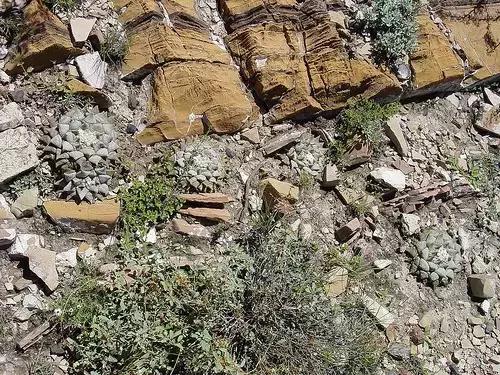 南非秘宝,遗落在世间的宝藏