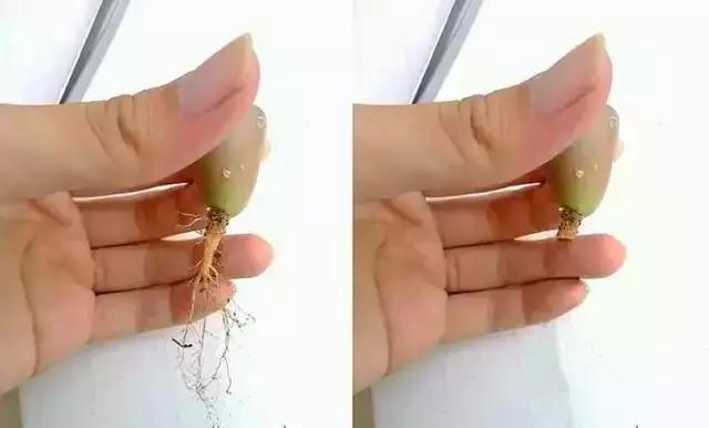 南非秘宝,遗落在世间的宝藏