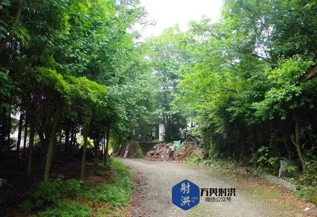 除了7449和3536，射洪还有哪些军工记忆？丨文小灰