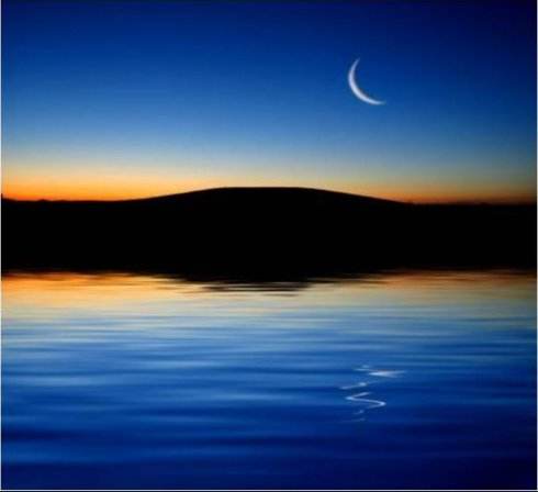 我给了你四季的风景,你还在意春花秋月吗?