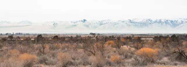 回顾:旧梦之域,新辟之疆‖这是一个让我魂萦梦绕的地方