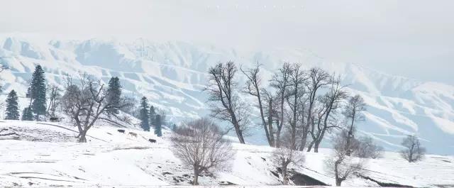 回顾:旧梦之域,新辟之疆‖这是一个让我魂萦梦绕的地方