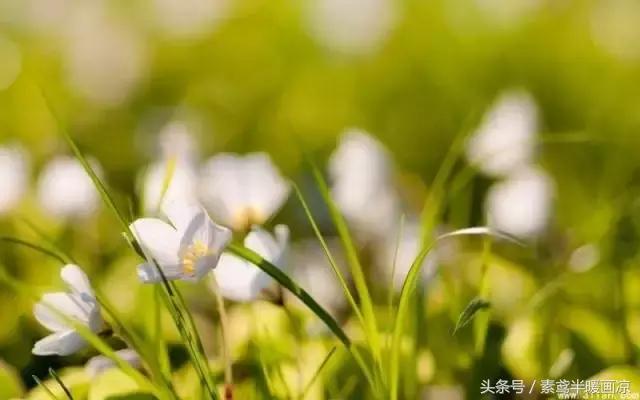 靠自己的努力走出抑郁,抑郁努力治愈自己