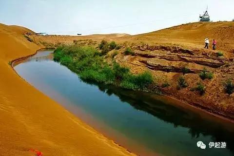 沙漠徒步穿越恩格贝,恩格贝沙漠千人徒步