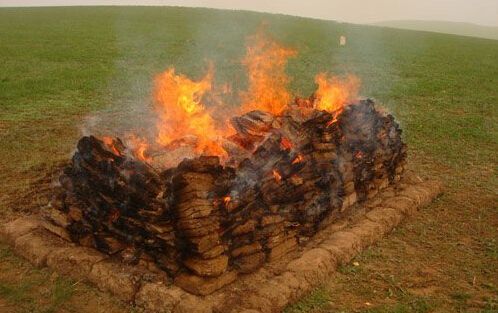 在古代战场上尸体是怎么处理的,古代战场尸体太多怎么处理