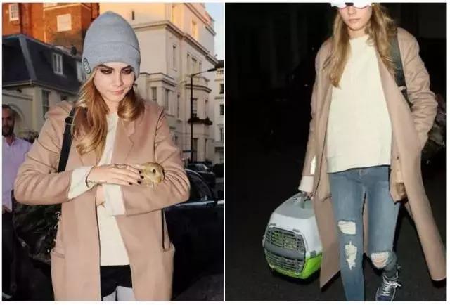 这些宠物都在背LV，你还敢抱怨自己像狗一样累？