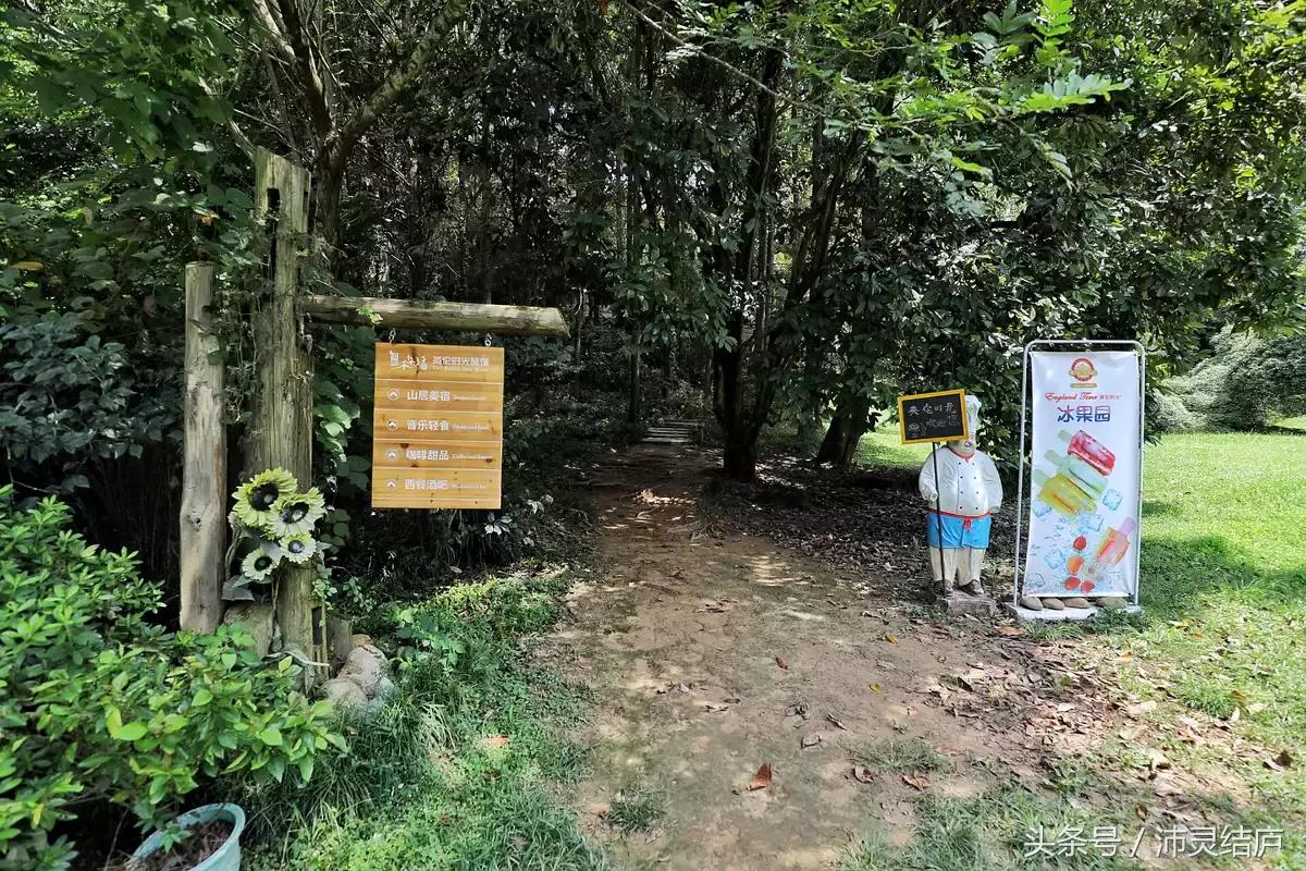 如果你只有一天的时间去乐山,如果你只有两天时间游南京