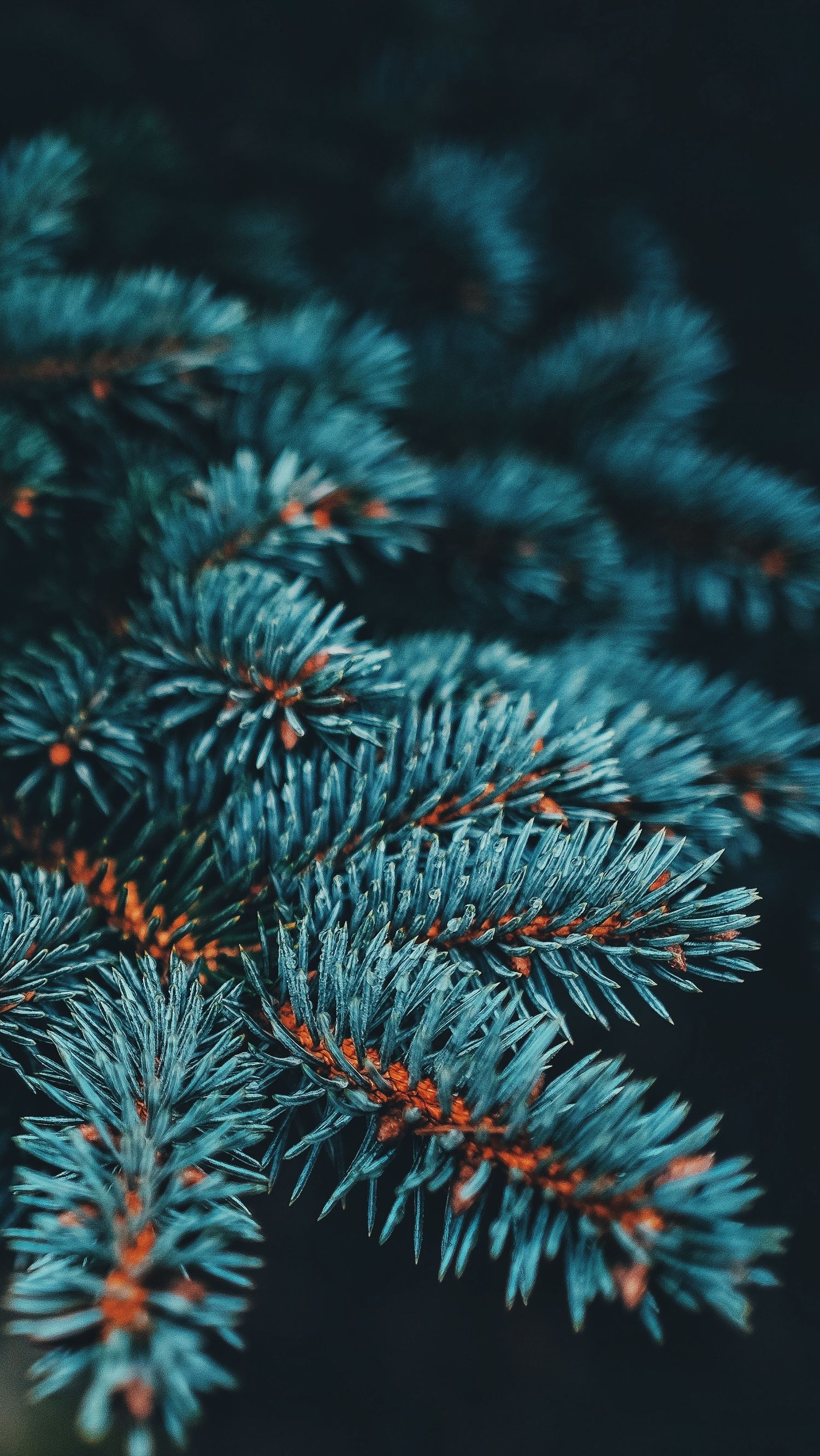 超多高清好看的壁纸,归来的奥特曼壁纸