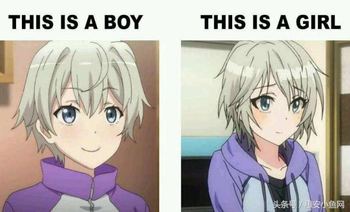 在闽南不仅有四脚蛇,还有四脚鱼,也叫“中国火龙”!