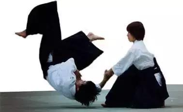 合气道相当于中国的什么武术,以柔克刚是什么格斗术