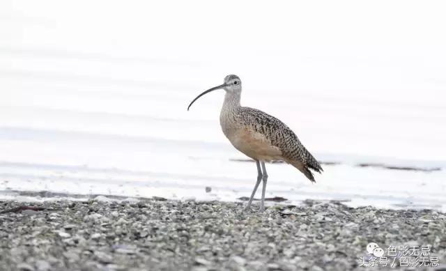 尼康d850数码单反摄影圣经,尼康d850的深度评价