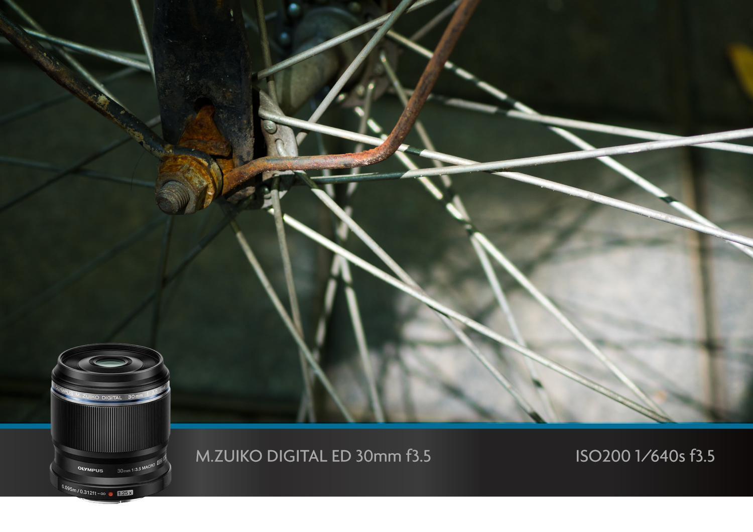 奥林巴斯微距镜头,奥林巴斯40-150可以拍微距吗