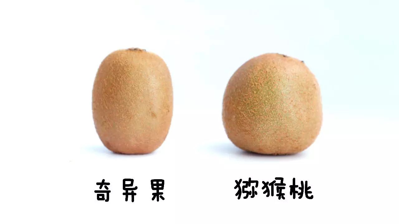 猕猴桃如何快速去皮去核,猕猴桃不粘手切法