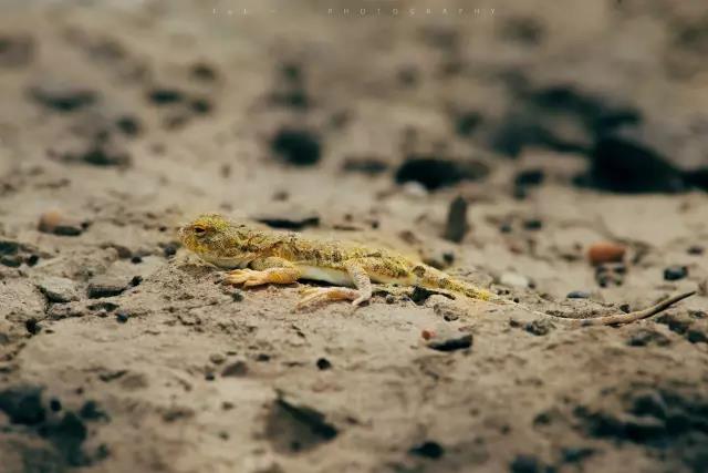 回顾:旧梦之域,新辟之疆‖这是一个让我魂萦梦绕的地方