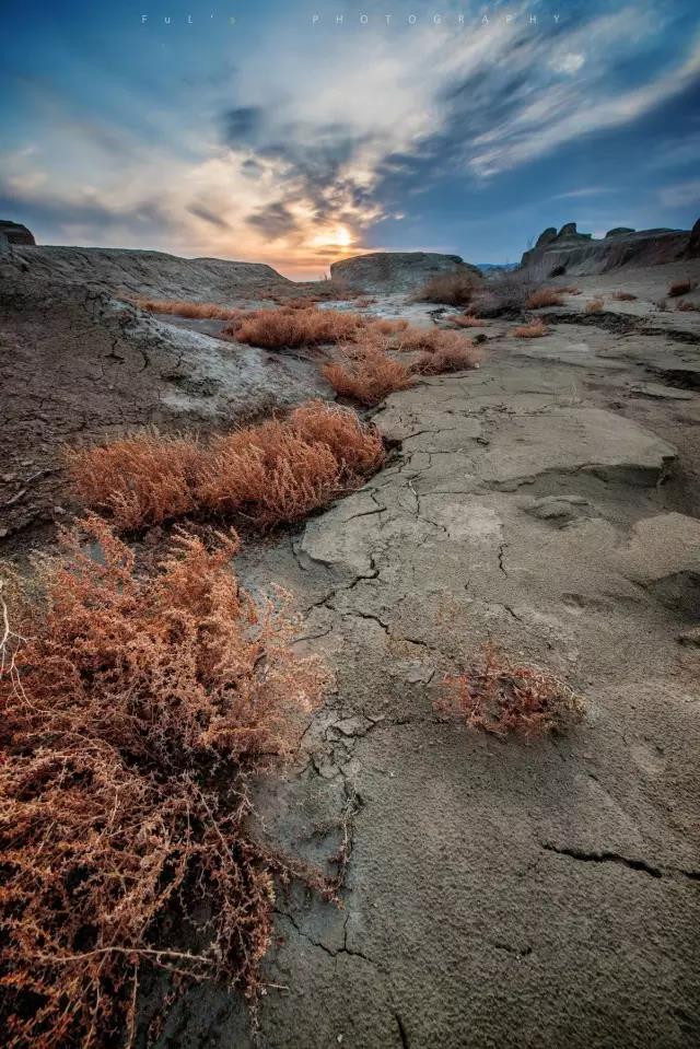 回顾:旧梦之域,新辟之疆‖这是一个让我魂萦梦绕的地方