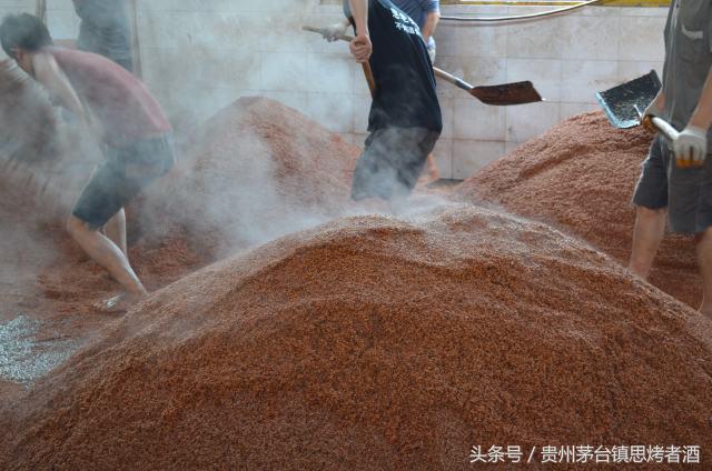 憨老头故事,憨老头酒馆全部视频