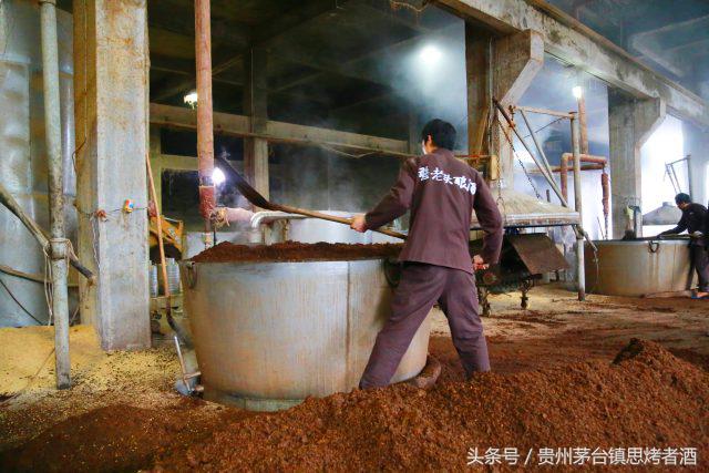 憨老头故事,憨老头酒馆全部视频