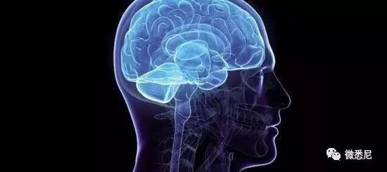 脑癌晚期医生让其准备后事,但女子喝了一种油,肿瘤竟消失了!