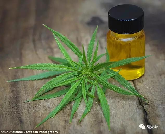 脑癌晚期医生让其准备后事,但女子喝了一种油,肿瘤竟消失了!