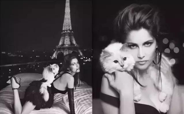 这些宠物都在背LV，你还敢抱怨自己像狗一样累？