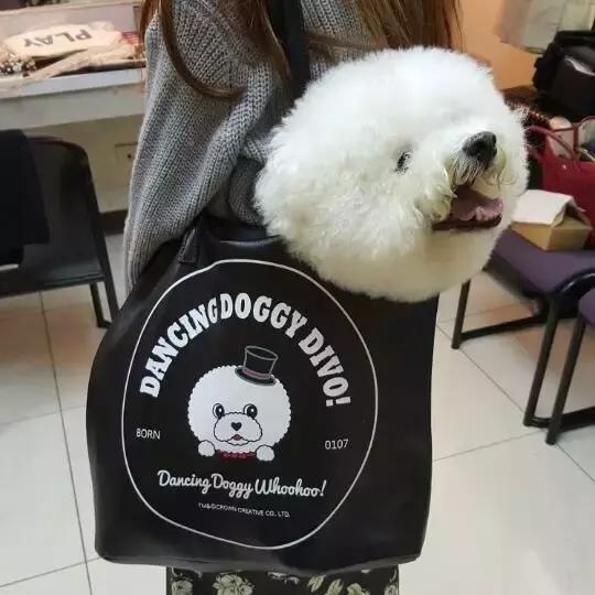 这些宠物都在背LV，你还敢抱怨自己像狗一样累？