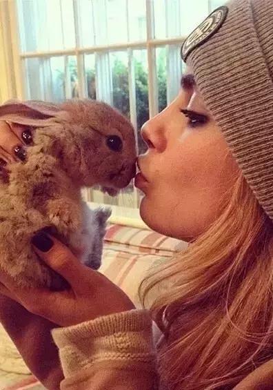 这些宠物都在背LV，你还敢抱怨自己像狗一样累？