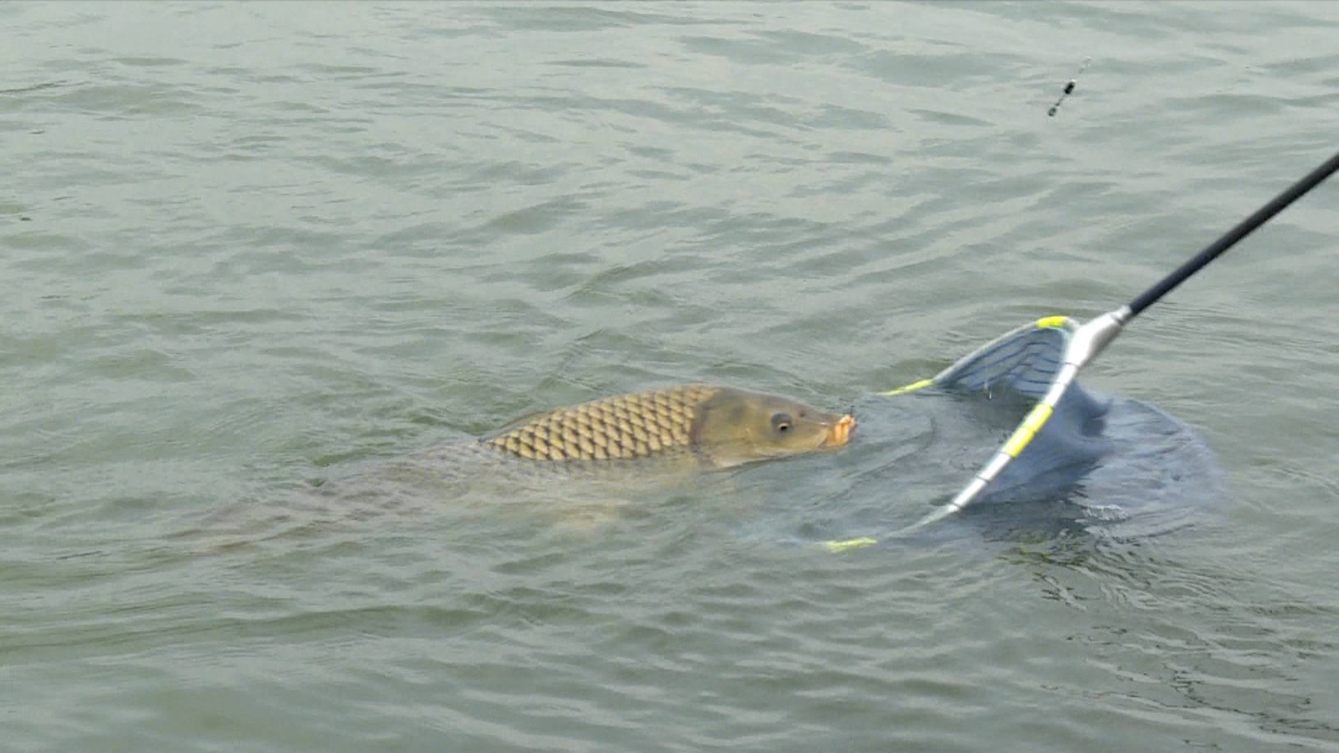 野钓巨物怎么选竿,野钓巨物怎么用