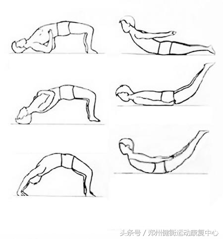 背部健康,背部健康知识