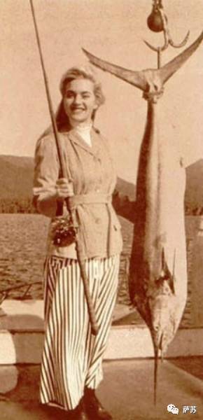 四川地震熊猫爬树躲避,汶川地震时受惊的熊猫