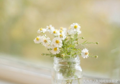 有一种感觉叫守口如瓶,有一种爱叫守口如瓶全文