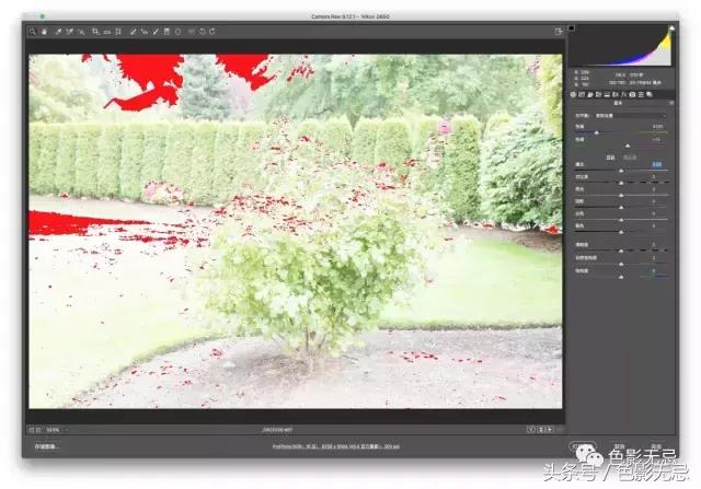 尼康d850数码单反摄影圣经,尼康d850的深度评价