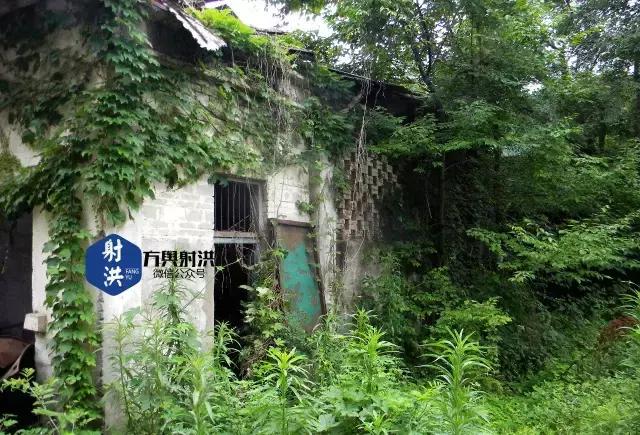 除了7449和3536，射洪还有哪些军工记忆？丨文小灰