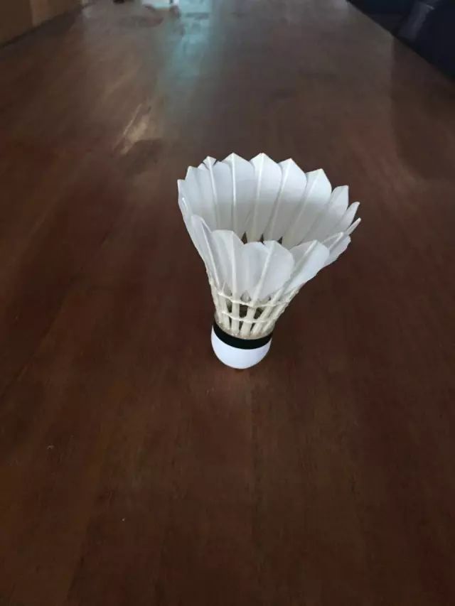 从*片毛**、球头、胶水和工艺，来判断羽毛球的质量，是最可靠的方法