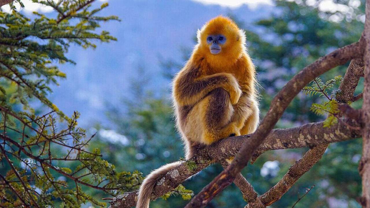 我们为什么是右撇子？这就要从200万年前找答案了！