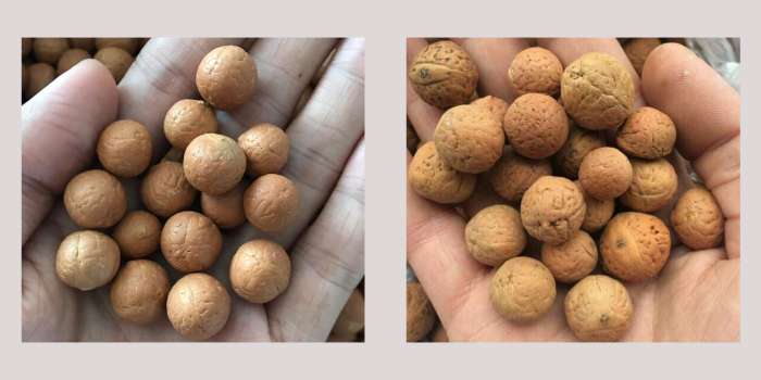 如何挑选凤眼菩提手串,如何选凤眼菩提子手串