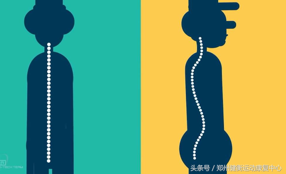 背部健康,背部健康知识