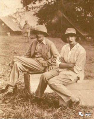 四川地震熊猫爬树躲避,汶川地震时受惊的熊猫