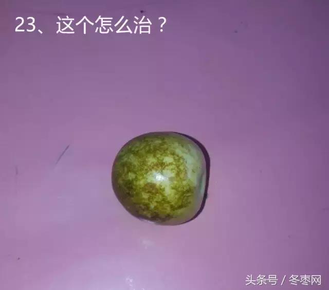 冬枣的管理问答,冬枣管理问题100期