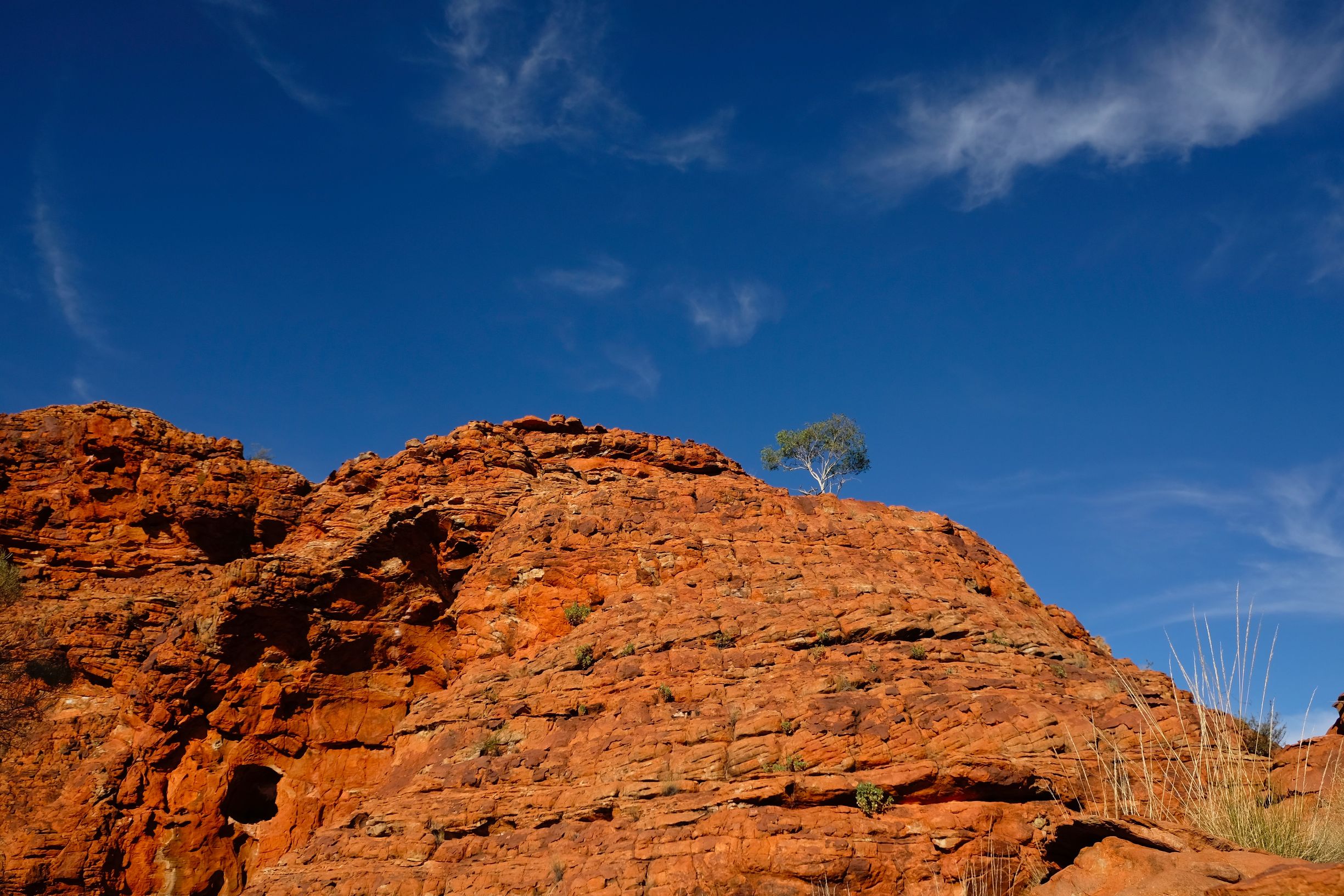 关于澳洲的一切,澳大利亚国王峡谷