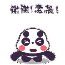 保值神车gk5,五万块钱买本田gk5